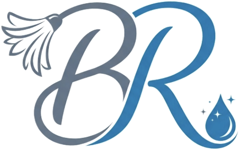 Entretien Ménager BR